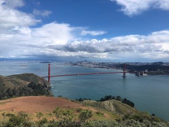Muir Woods,Painted Ladies,Golden Gate Bridge,Alcatraz
